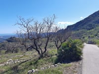 Coll de la Garga / La Vall de Laguar von La Plana