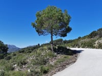 Coll de la Garga da Riu de Xaló