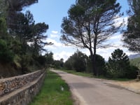 Coll de la Safor von L'Orxa