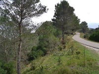 Coll de la Safor von L'Orxa