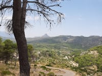 Coll de la Safor da Villalonga
