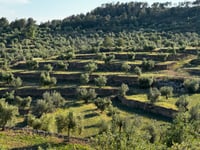 Coll de la Torre von Vinebre