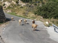 Coll de la Trava von Tuixent