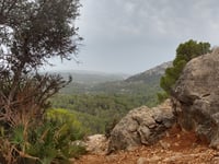 Coll de n'Esteve da Es Capdellà