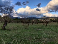 Coll de n'Esteve da Es Capdellà