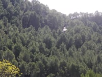Coll de n'Esteve von Rafal Blanc