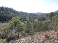 Coll de n'Esteve von Rafal Blanc