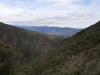 Coll de Palomera von Finestret