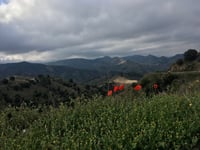 Coll de Porrera z Porrera