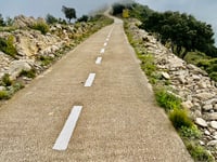Coll de Rates / Tossal dels Diners