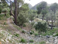 Coll de sa Batalla depuis Caimari