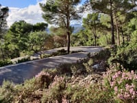 Coll de sa Creu von Coll des Tords