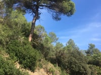 Coll de Santa Creu d'Olorda desde Sarrià