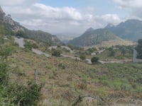 Coll de Sóller desde Bunyola