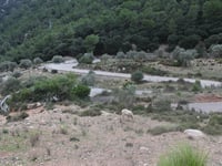 Coll de Sóller von Bunyola