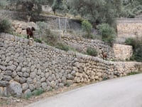 Coll de Sóller von Bunyola
