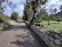 Coll de Tofla von Alaró