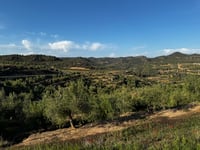 Coll del Cinto da La Bisbal de Montsant