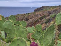 Coll dels Belitres von Cerbère
