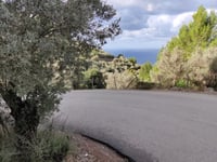 Coll den Bleda von Llucalcari