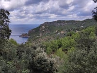 Coll den Bleda von Llucalcari