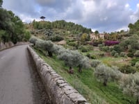 Coll den Bleda depuis Sóller