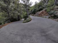 Coll des Pi da Es Port