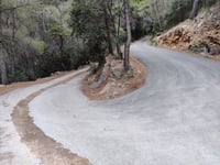 Coll des Pi da Es Port