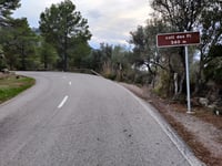Coll des Pi da Es Port
