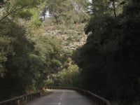 Coll des Tords from Calvià