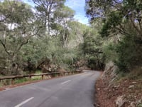 Coll des Tords from Calvià