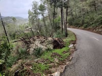 Coll des Tords desde Establiments