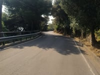 Colla Micheri