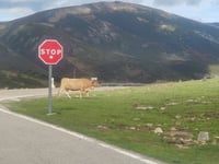 Collado de Fuente del Chivo von Entrambasaguas
