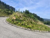 Collado de Fumarea z Peón