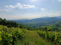 Colle dei Pasta von Negrone