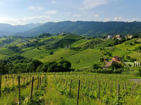Colle dei Pasta von Negrone
