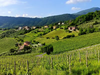 Colle dei Pasta von Negrone