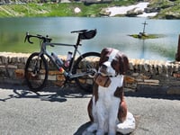 Col du Grand-Saint-Bernard z Aosta przez Roisan