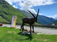 Col du Grand-Saint-Bernard