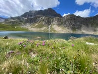 Colle del Nivolet