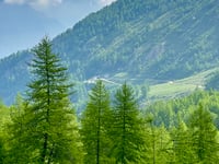 Colle delle Finestre