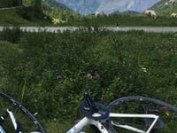 Colle delle Finestre