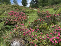 Colle di Sampeyre