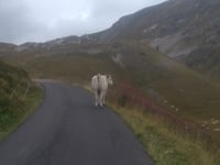 Colle Fauniera / Col di Morts von Demonte