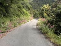 Colle Termini di Bajardo da Capo Nero