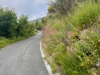Colle Termini di Bajardo von Ospedaletti