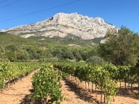 Collet Blanc de Suberoque da Beaurecueil