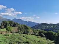 Collet de Cal Climent da Ribes de Freser
