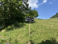 Collet de Tamié depuis Gilly-sur-Isère